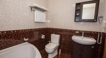 Фото номера Vip Гостиница Отель-клуб Лотус г. Саратов 8